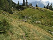 70 Dopo mezz'oretta di dscesa incrocio il Sentiero dei Roccoli (272)